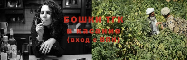 твердый Инсар