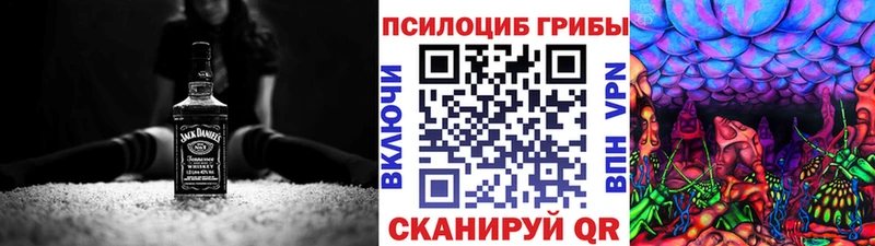 Псилоцибиновые грибы GOLDEN TEACHER цена Волоколамск
